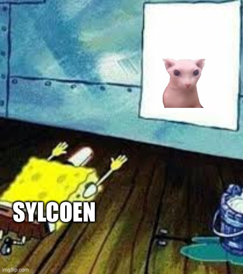 spongebob worship | SYLCOEN | image tagged in spongebob worship | made w/ Imgflip meme maker