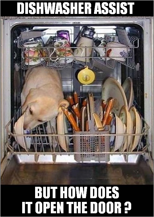 That Final Lick Is The Charm ! | DISHWASHER ASSIST; BUT HOW DOES IT OPEN THE DOOR ? | image tagged in dogs,dishwasher,licking | made w/ Imgflip meme maker