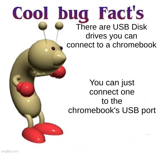 Cool Bug Facts | There are USB Disk drives you can connect to a chromebook You can just connect one to the chromebook's USB port | image tagged in cool bug facts | made w/ Imgflip meme maker