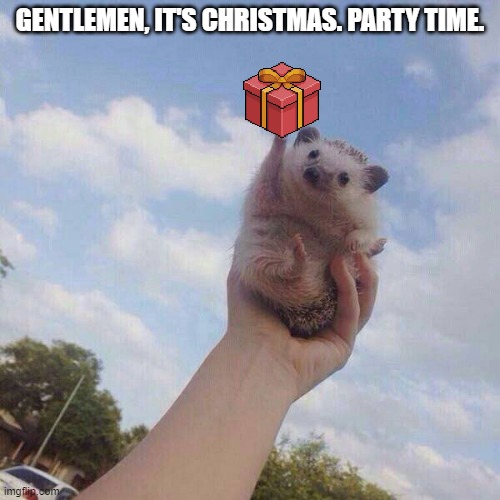 On Christmas Morning, I saw what's under the tree for me | GENTLEMEN, IT'S CHRISTMAS. PARTY TIME. | image tagged in lets go,christmas,yey | made w/ Imgflip meme maker