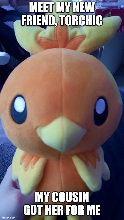 Yes, the torchic is a girl , I have too many male pokemon teddies now | MEET MY NEW FRIEND, TORCHIC; MY COUSIN GOT HER FOR ME | made w/ Imgflip meme maker