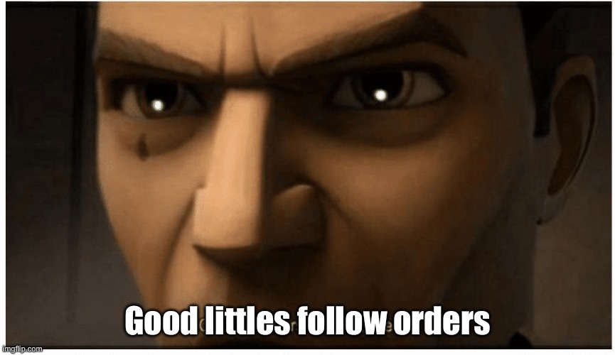 Good soldiers follow orders | Good littles follow orders | image tagged in good soldiers follow orders | made w/ Imgflip meme maker