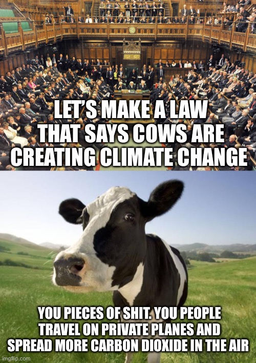 LET’S MAKE A LAW THAT SAYS COWS ARE CREATING CLIMATE CHANGE; YOU PIECES OF SHIT. YOU PEOPLE TRAVEL ON PRIVATE PLANES AND SPREAD MORE CARBON DIOXIDE IN THE AIR | image tagged in british parliament,cow | made w/ Imgflip meme maker