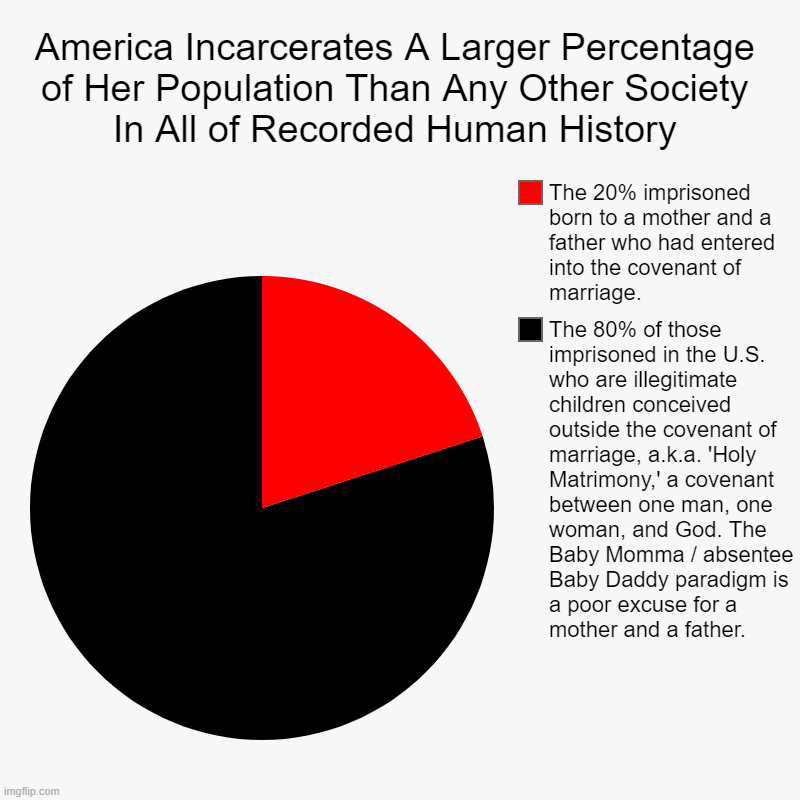 America Incarcerates A Larger Percentage of Her Population Than Any Other Society In All of Recorded Human History | The 80% of those impris | image tagged in charts,pie charts | made w/ Imgflip chart maker