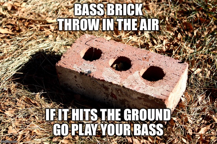 Bass brick | BASS BRICK
THROW IN THE AIR; IF IT HITS THE GROUND
GO PLAY YOUR BASS | image tagged in music | made w/ Imgflip meme maker
