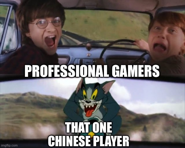 Tom chasing Harry and Ron Weasly | PROFESSIONAL GAMERS; THAT ONE CHINESE PLAYER | image tagged in tom chasing harry and ron weasly,gaming,memes,video games,funny,fun | made w/ Imgflip meme maker