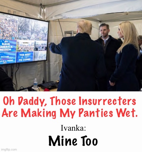MineToo | image tagged in family values,partners in crime,losers,plastic surgery,nasty woman | made w/ Imgflip meme maker