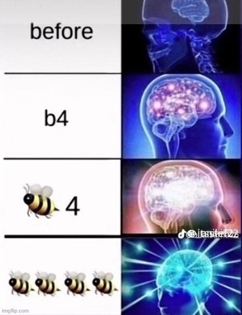 image tagged in memes | made w/ Imgflip meme maker