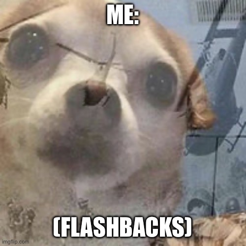 Vietnam Dog Flashbacks | ME: (FLASHBACKS) | image tagged in vietnam dog flashbacks | made w/ Imgflip meme maker