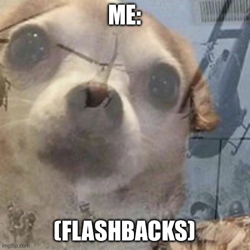 Vietnam Dog Flashbacks | ME:; (FLASHBACKS) | image tagged in vietnam dog flashbacks | made w/ Imgflip meme maker