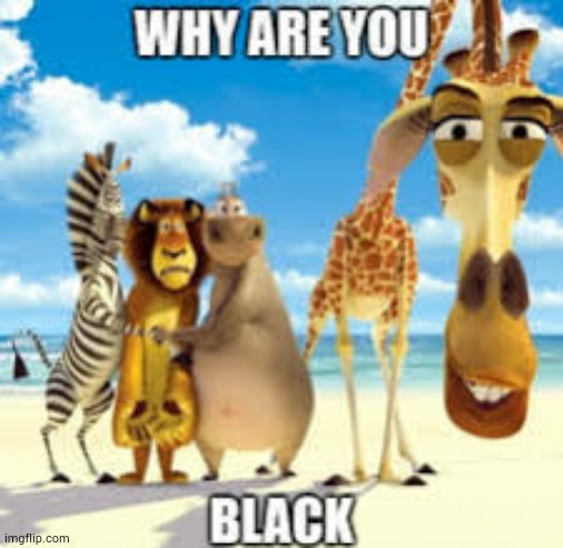 Why are you black? | image tagged in lol,memes,black | made w/ Imgflip meme maker