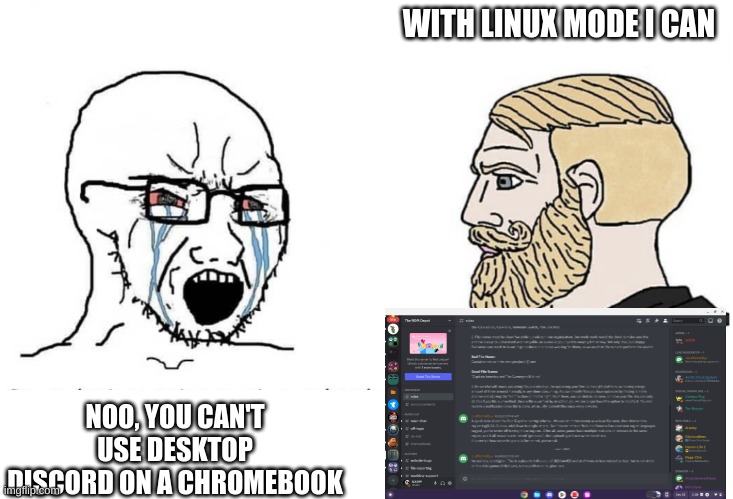 Soyboy Vs Yes Chad | WITH LINUX MODE I CAN; NOO, YOU CAN'T USE DESKTOP DISCORD ON A CHROMEBOOK | image tagged in soyboy vs yes chad,chromebook,linux,chromeos | made w/ Imgflip meme maker