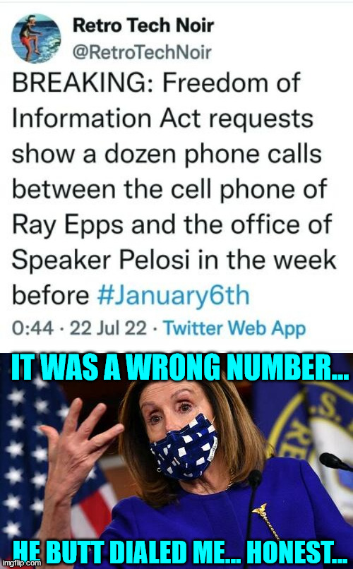 Nancy got some splaining to do... | IT WAS A WRONG NUMBER... HE BUTT DIALED ME... HONEST... | image tagged in criminal,nancy pelosi | made w/ Imgflip meme maker