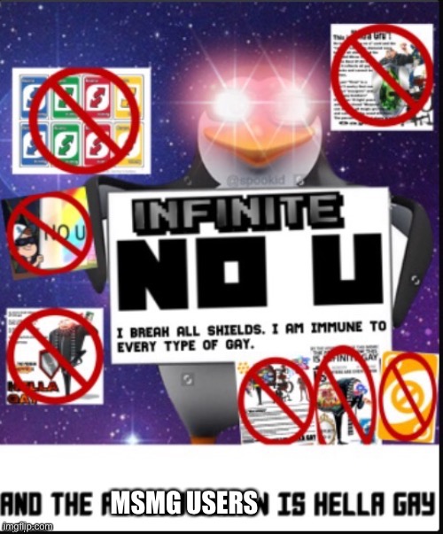 Message to Ms Memer Group Users and Mods Because They does not allow SnowyItsFunneh To Use that Stream because he is 13. | MSMG USERS | image tagged in infinite no u | made w/ Imgflip meme maker