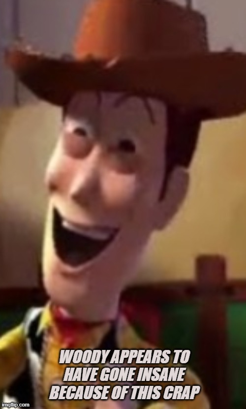 insane woody | image tagged in insane woody | made w/ Imgflip meme maker