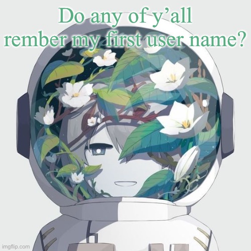 avogado6 | Do any of y’all rember my first user name? | image tagged in avogado6 | made w/ Imgflip meme maker