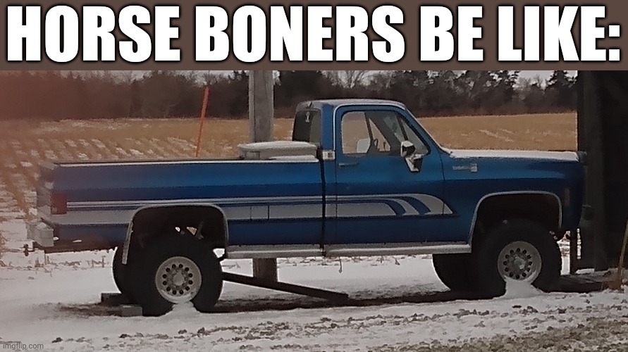 The truck has no transmission so the drive shaft just sits in the snow | HORSE BONERS BE LIKE: | image tagged in horse,boner | made w/ Imgflip meme maker