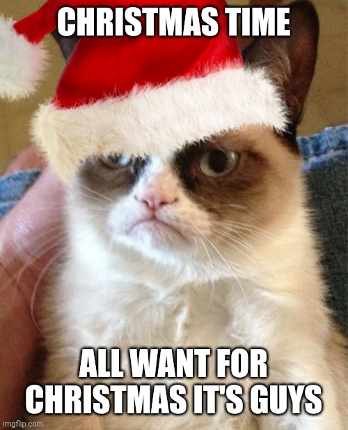 I happy | CHRISTMAS TIME; ALL WANT FOR CHRISTMAS IT'S GUYS | image tagged in christmas,merry christmas,grumpy cat,memes | made w/ Imgflip meme maker