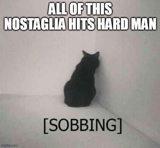 Sobbing cat | ALL OF THIS NOSTAGLIA HITS HARD MAN | image tagged in sobbing cat | made w/ Imgflip meme maker