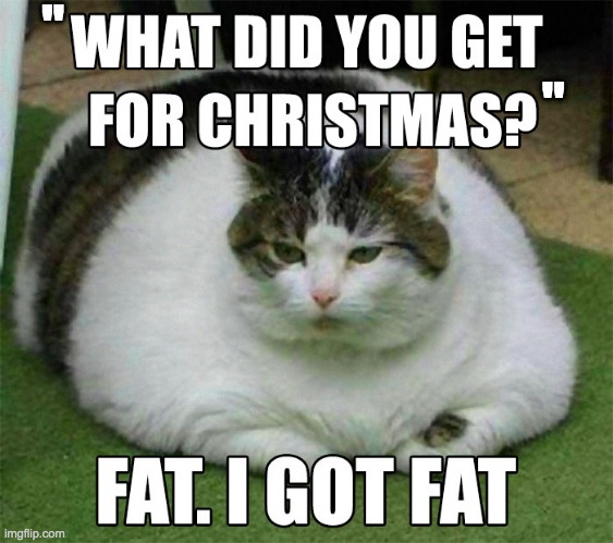 loll | "; " | image tagged in fat,memes,funny,cat,christmas,new years | made w/ Imgflip meme maker
