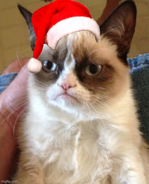 Grumpy Cat | image tagged in memes,grumpy cat,cats,santa | made w/ Imgflip meme maker