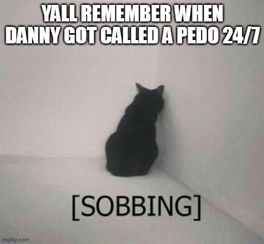 Sobbing cat | YALL REMEMBER WHEN DANNY GOT CALLED A PEDO 24/7 | image tagged in sobbing cat | made w/ Imgflip meme maker