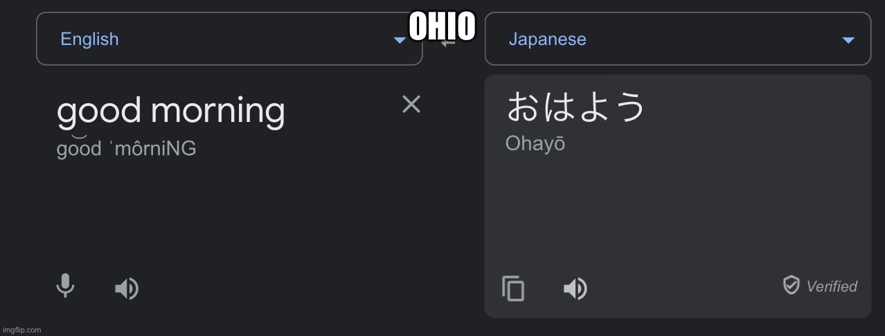 Ohio | OHIO | image tagged in google translate,translation,memes | made w/ Imgflip meme maker
