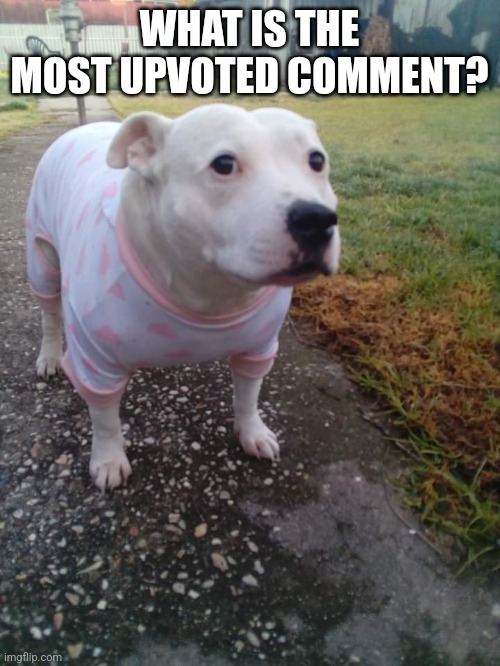 High quality Huh Dog | WHAT IS THE MOST UPVOTED COMMENT? | image tagged in high quality huh dog | made w/ Imgflip meme maker