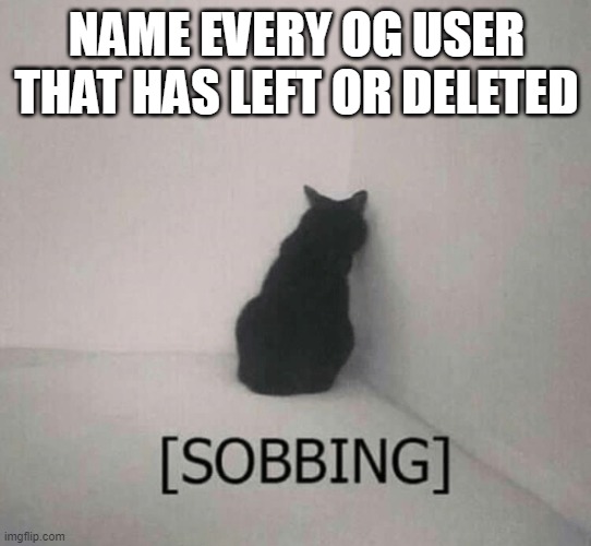 Sobbing cat | NAME EVERY OG USER THAT HAS LEFT OR DELETED | image tagged in sobbing cat | made w/ Imgflip meme maker