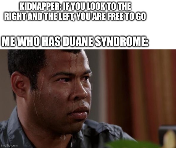 I’m out of ideas :/ | KIDNAPPER: IF YOU LOOK TO THE RIGHT AND THE LEFT, YOU ARE FREE TO GO; ME WHO HAS DUANE SYNDROME: | image tagged in sweating bullets,im out of ideas,duane syndrome,disability,kidnapping | made w/ Imgflip meme maker