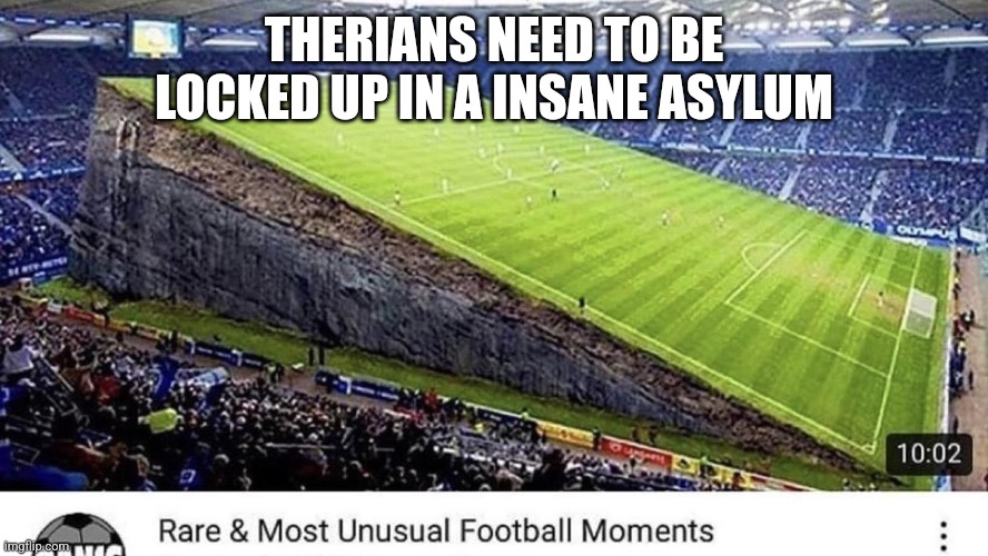 football | THERIANS NEED TO BE LOCKED UP IN A INSANE ASYLUM | image tagged in football | made w/ Imgflip meme maker