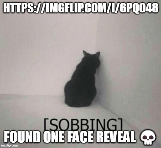 Sobbing cat | HTTPS://IMGFLIP.COM/I/6PQO48; FOUND ONE FACE REVEAL 💀 | image tagged in sobbing cat | made w/ Imgflip meme maker