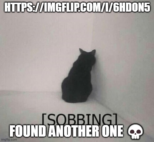 Sobbing cat | HTTPS://IMGFLIP.COM/I/6HDON5; FOUND ANOTHER ONE 💀 | image tagged in sobbing cat | made w/ Imgflip meme maker