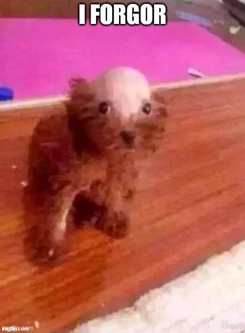 bald doggo | I FORGOR | image tagged in bald doggo | made w/ Imgflip meme maker