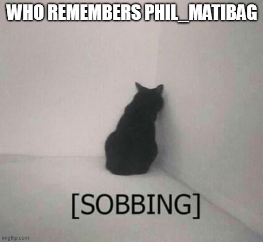 Sobbing cat | WHO REMEMBERS PHIL_MATIBAG | image tagged in sobbing cat | made w/ Imgflip meme maker