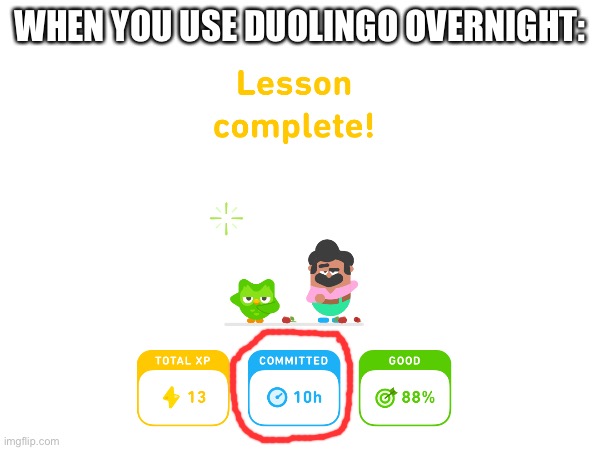 WHEN YOU USE DUOLINGO OVERNIGHT: | image tagged in duolingo bird | made w/ Imgflip meme maker