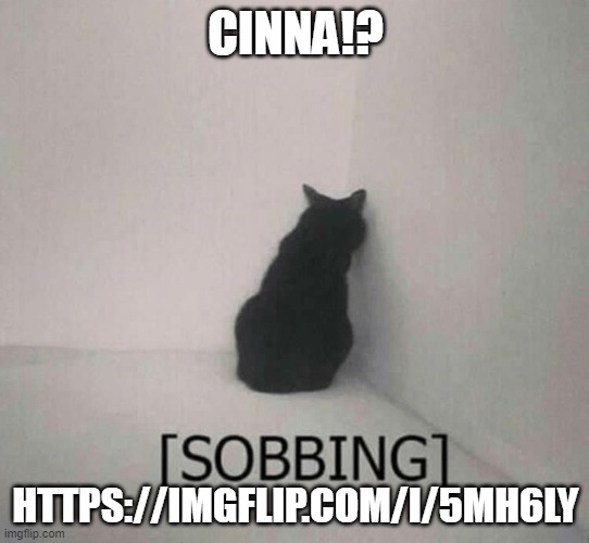 Sobbing cat | CINNA!? HTTPS://IMGFLIP.COM/I/5MH6LY | image tagged in sobbing cat | made w/ Imgflip meme maker