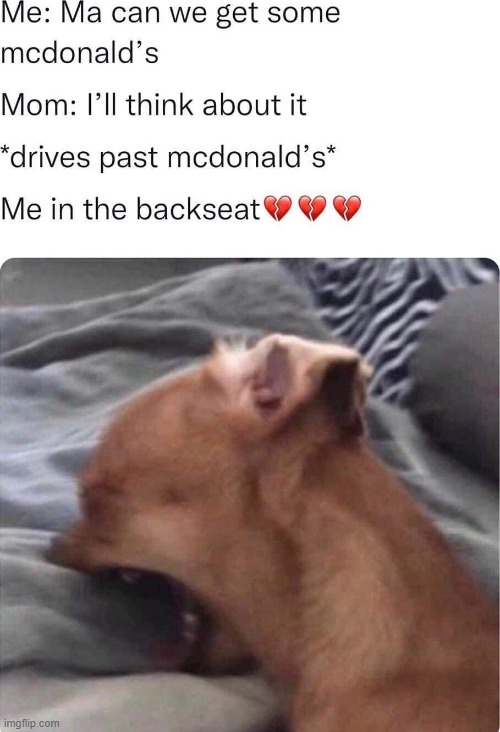 image tagged in repost | made w/ Imgflip meme maker