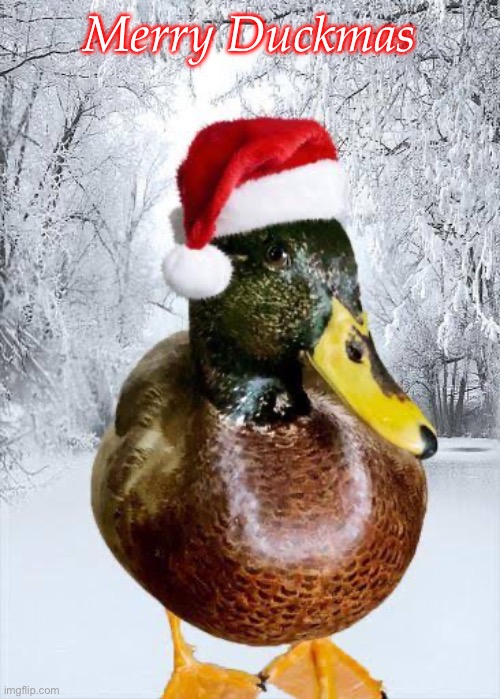 Duckmas | Merry Duckmas | made w/ Imgflip meme maker