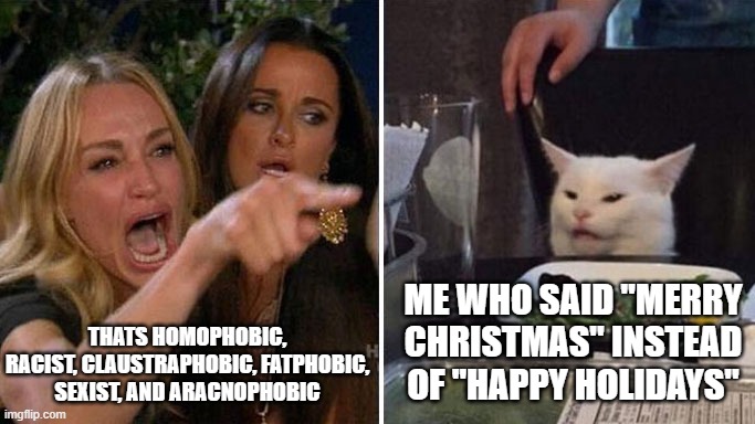 Imma boutta be canceled |  THATS HOMOPHOBIC, RACIST, CLAUSTRAPHOBIC, FATPHOBIC, SEXIST, AND ARACNOPHOBIC; ME WHO SAID "MERRY CHRISTMAS" INSTEAD OF "HAPPY HOLIDAYS" | image tagged in angry lady cat,twitter,memes,imgflip,reality | made w/ Imgflip meme maker