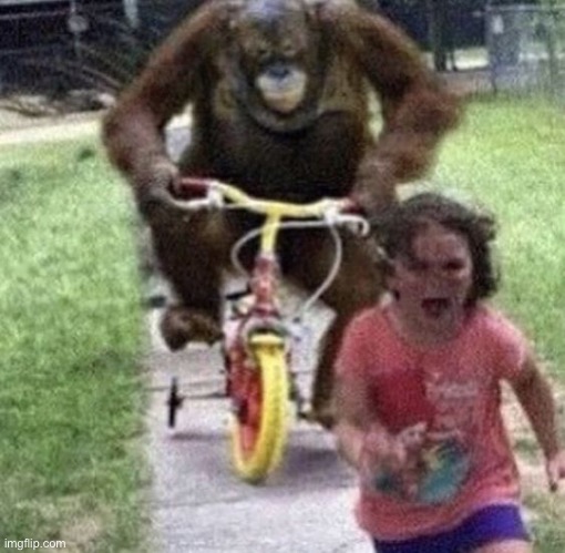 Little kid running from monkey | image tagged in little kid running from monkey | made w/ Imgflip meme maker