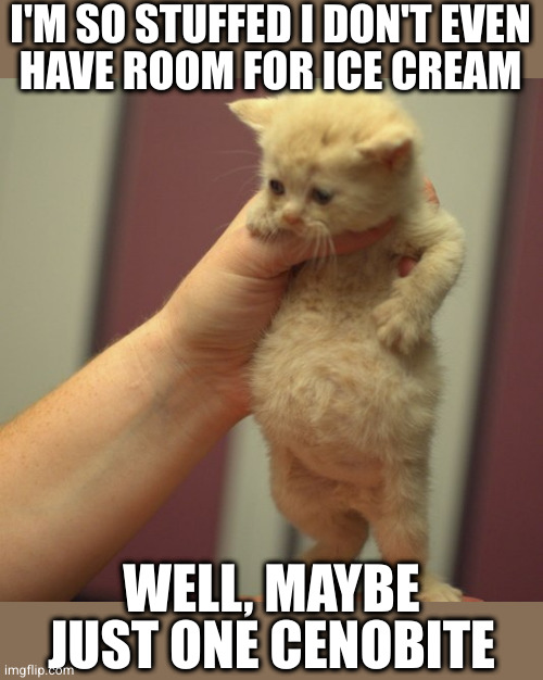 Cat full of soup | I'M SO STUFFED I DON'T EVEN
HAVE ROOM FOR ICE CREAM; WELL, MAYBE JUST ONE CENOBITE | image tagged in cat full of soup | made w/ Imgflip meme maker