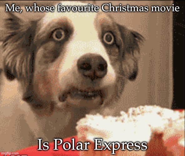 PTSD dog | Me, whose favourite Christmas movie Is Polar Express | image tagged in ptsd dog | made w/ Imgflip meme maker