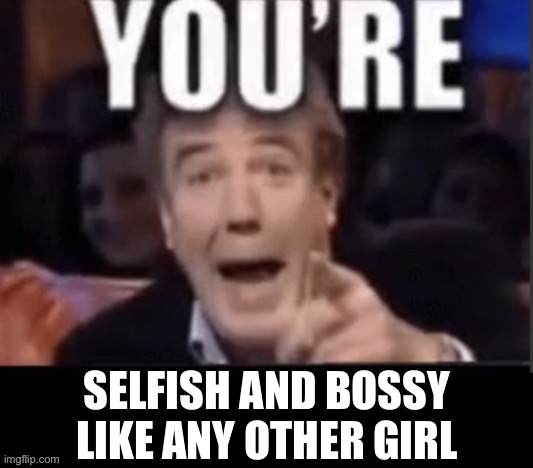 You’re X | SELFISH AND BOSSY LIKE ANY OTHER GIRL | image tagged in you re x | made w/ Imgflip meme maker
