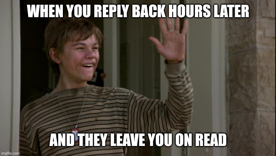 Hello | WHEN YOU REPLY BACK HOURS LATER; AND THEY LEAVE YOU ON READ | image tagged in fun | made w/ Imgflip meme maker