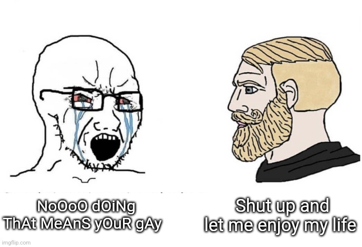 I'm not homophobic but how is pink gay? | NoOoO dOiNg ThAt MeAnS yOuR gAy; Shut up and let me enjoy my life | image tagged in soyboy vs yes chad | made w/ Imgflip meme maker
