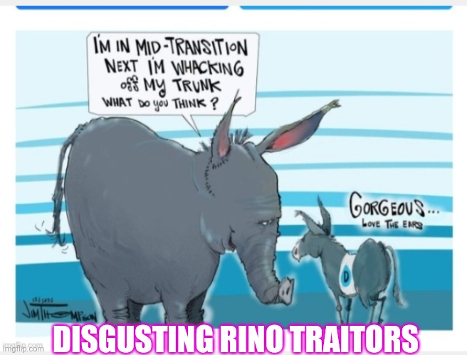 Pitiful | DISGUSTING RINO TRAITORS | image tagged in libtards,you're fired | made w/ Imgflip meme maker