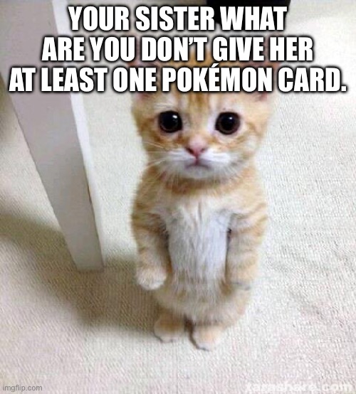 Cute Cat | YOUR SISTER WHAT ARE YOU DON’T GIVE HER AT LEAST ONE POKÉMON CARD. | image tagged in memes,cute cat | made w/ Imgflip meme maker