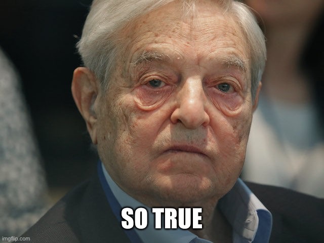 George Soros | SO TRUE | image tagged in george soros | made w/ Imgflip meme maker
