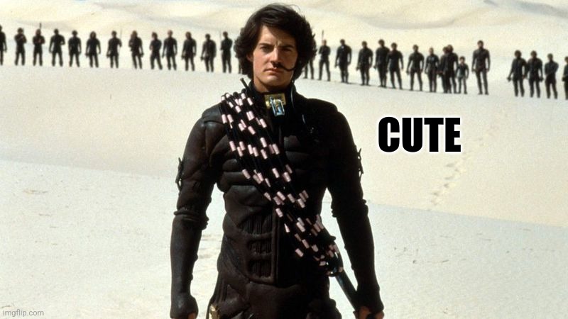 Dune Fremen | CUTE | image tagged in dune fremen | made w/ Imgflip meme maker